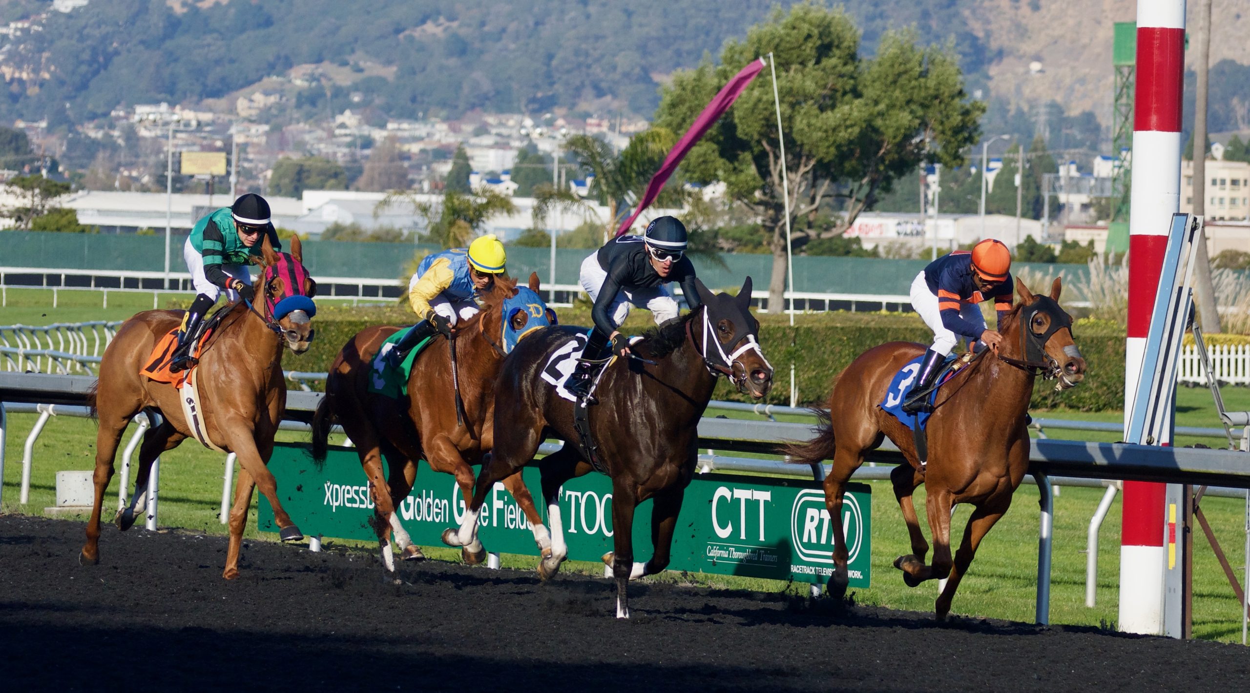 Horse Racing Betting Betbhai9