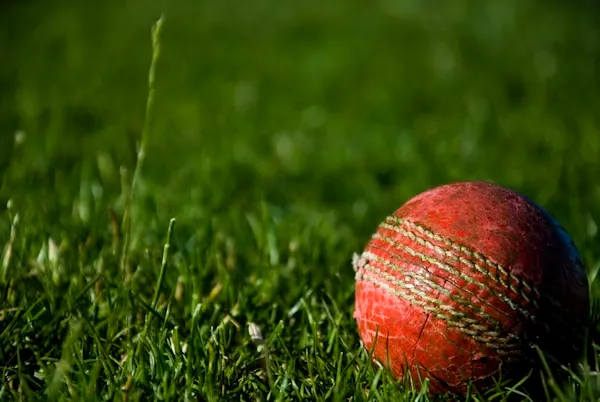 Cricket Betting IPL T20 Betbhai9